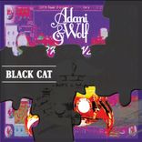 Artwork for "Black Cat"