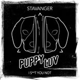 Artwork voor "I Shit You Not"