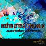 Artwork for "Just What You Want"