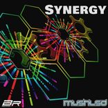 Artwork for "Synergy"