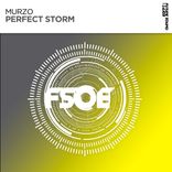 Portada para "Perfect Storm"