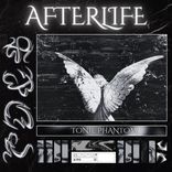Artwork voor "Afterlife"