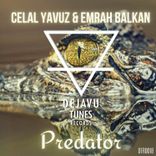 Artwork voor "Predator"