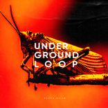 Artwork voor "Stable Sound"