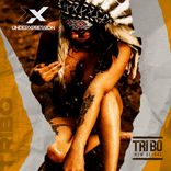 Artwork für "Tribo / New Before"