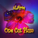 Artwork voor "One Cut Plum"