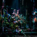 Artwork for "Common Factor"