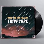 Portada para "When The Sky Falling"