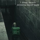 Artwork for "Screaming Begins Again"