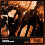 Artwork for "Chaos Is Order"