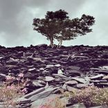 Artwork for "High on you"