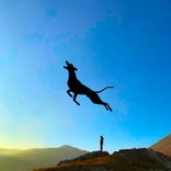 Artwork for "Dark Angel EP"