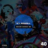 Artwork voor "Never Gonna Be"