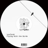 Flying With the Birds