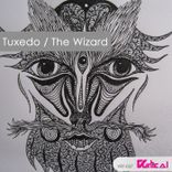 Artwork for "The Wizard"