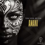 Artwork for "Amani"