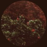 Artwork voor "Everything / Feel The Same"