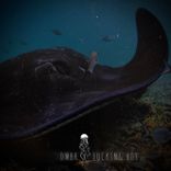 Fucking Boy (Extended Mix)