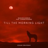 Artwork for "Till The Morning Light (Edgar Orn Remix)"