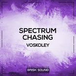 Artwork for "Spectrum / Chasing"