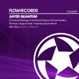 Artwork voor "Chemical Marriage in the Secret Palace of Transmutation"