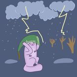 Portada para "FineLotus"