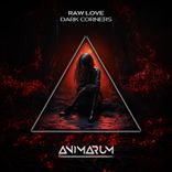 Artwork for "Dark Corners"