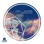 Artwork for "LCN 029"