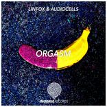 Artwork voor "Orgasm"