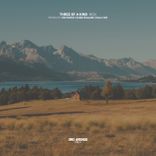 Artwork for "Three of a Kind #034"