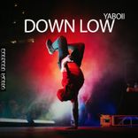 Artwork voor "Down Low"