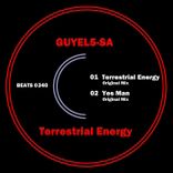 Terrestrial Energy
