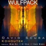 Artwork for "Kohoutek"