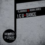 Artwork voor "I C U Dance"