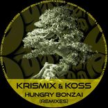 Artwork for "Hungry Bonzai (Remixes)"