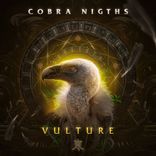 Artwork for "Vulture"