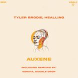 Artwork for "Auxene"