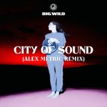 Artwork voor "City of Sound (Alex Metric Remix)"