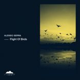 Artwork voor "Flight of Birds"