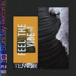 Artwork for "Feel The Vibe"