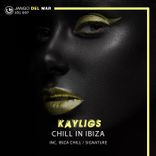 Artwork voor "Chill In Ibiza"