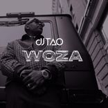 Artwork voor "WOZA"