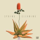 Artwork for "Spring Cleaning"