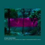 Artwork for "Club Lonely Remixes"