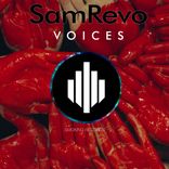 Artwork for "Voices"