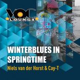 Portada para "Winterblues In Springtime"