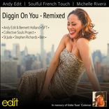 Artwork for "Diggin On You"