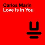 Artwork for "Love Is In You"