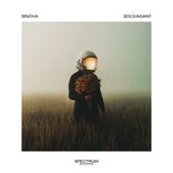 Artwork für "Solivagant"