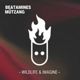 Artwork voor "Wildlife & Imagine"